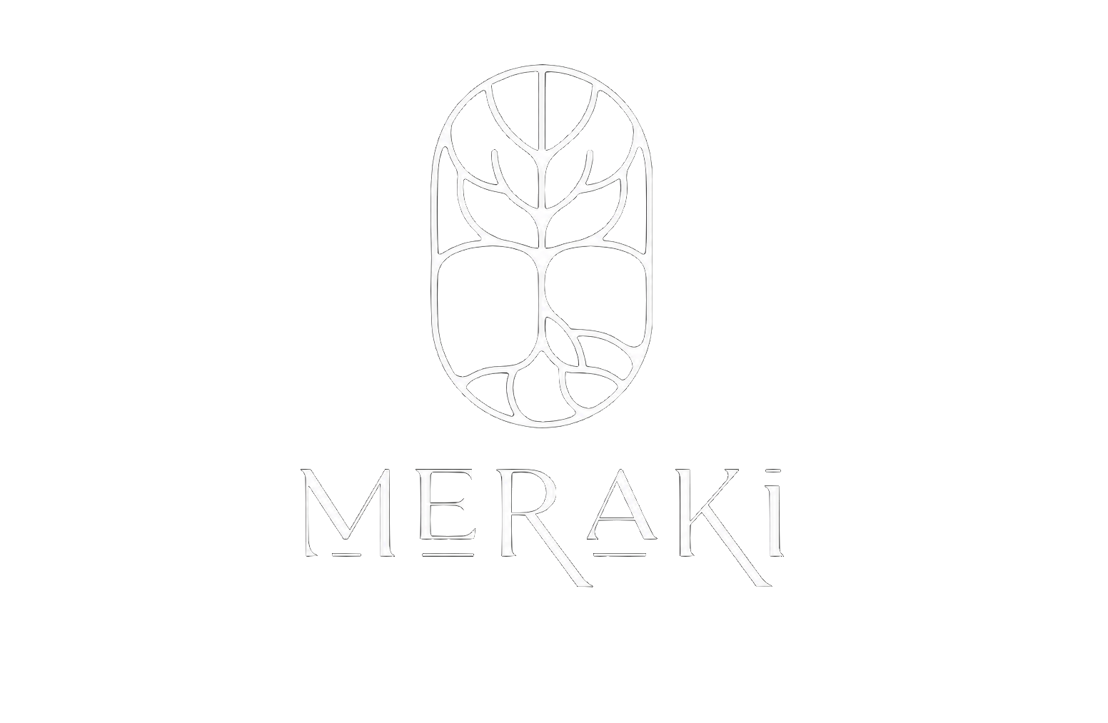 Meraki